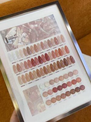 24-color transparent oolong set + color plate