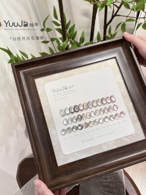 12-color Moonstone Premium Gray 2.0 Cat's Eye Set + Color Plate