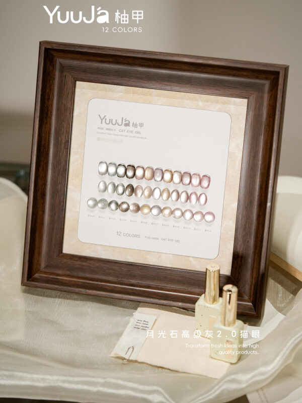 12-color Moonstone Premium Gray 2.0 Cat's Eye Set + Color Plate