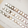 12-color Moonstone Premium Gray 2.0 Cat's Eye Set + Color Plate