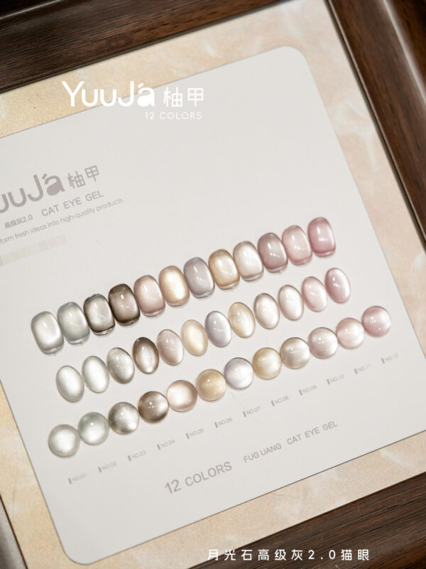 12-color Moonstone Premium Gray 2.0 Cat's Eye Set + Color Plate