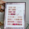 36 colors of ebony rose transparent color + color plate