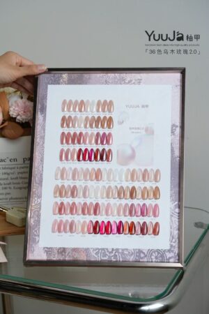 36 colors of ebony rose transparent color + color plate