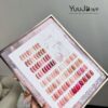 36 colors of ebony rose transparent color + color plate